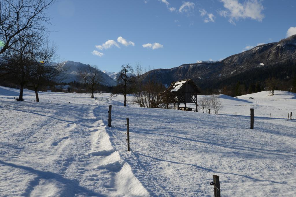 Apartment Dijak Bohinj Exterior photo